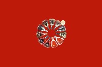 甘孜九龙回收红酒